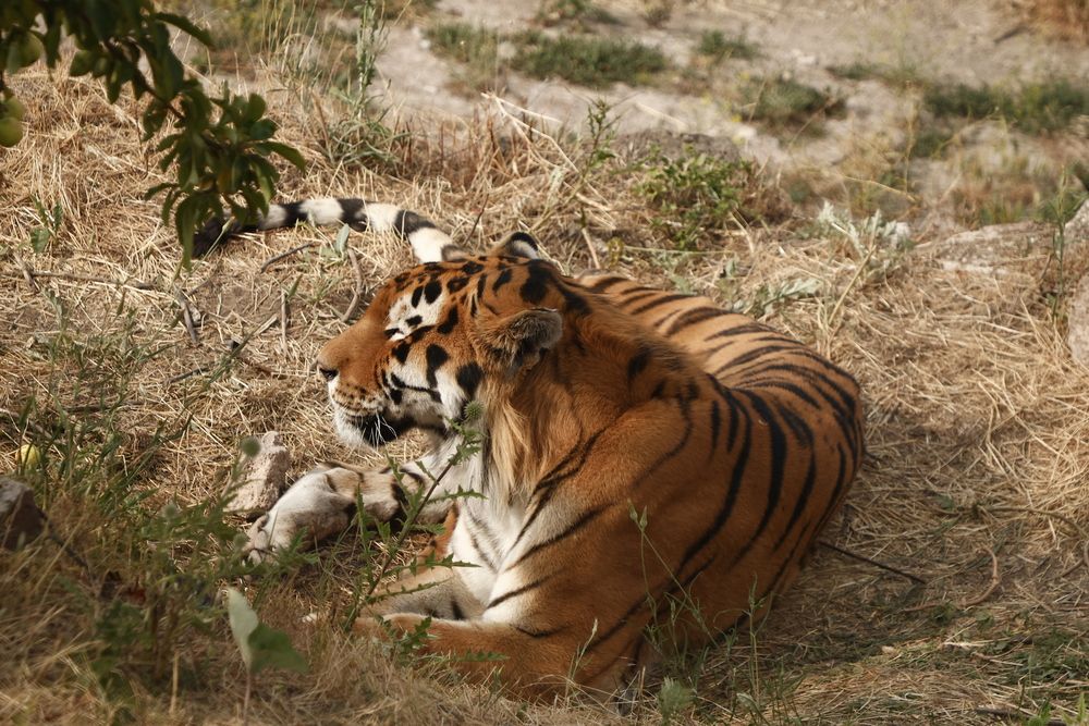 Photograph by Микрокосмос Владимир