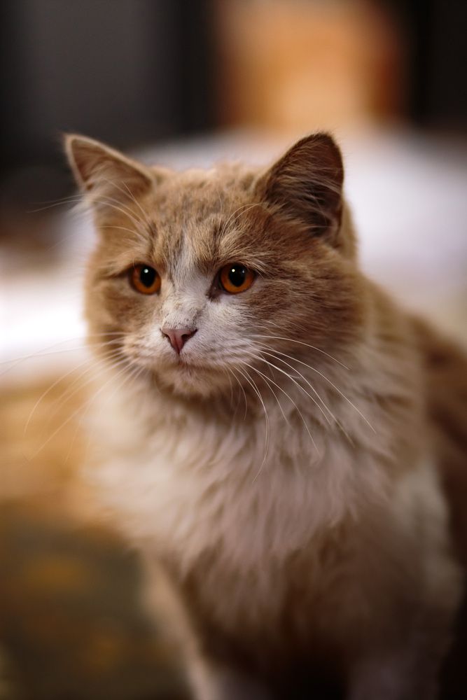 Photograph by Иван Павлов