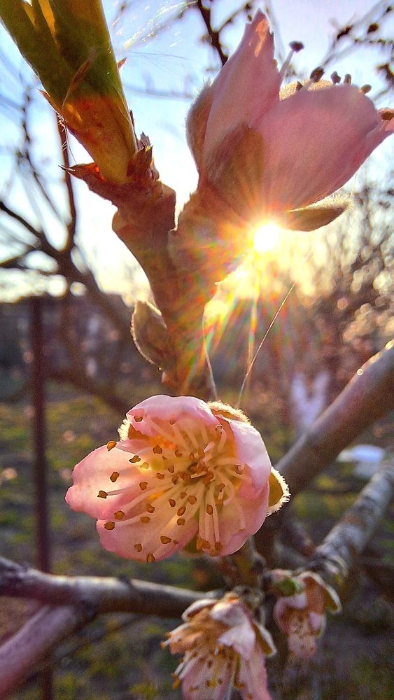 Photograph by Наталья Вялых