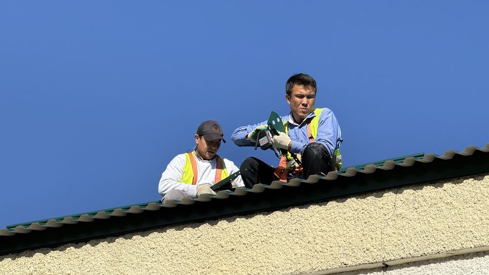 Photograph by Светлана Родионова