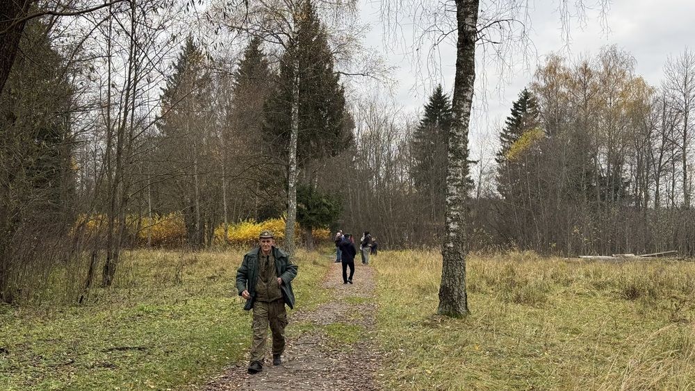 Photograph by Светлана Родионова