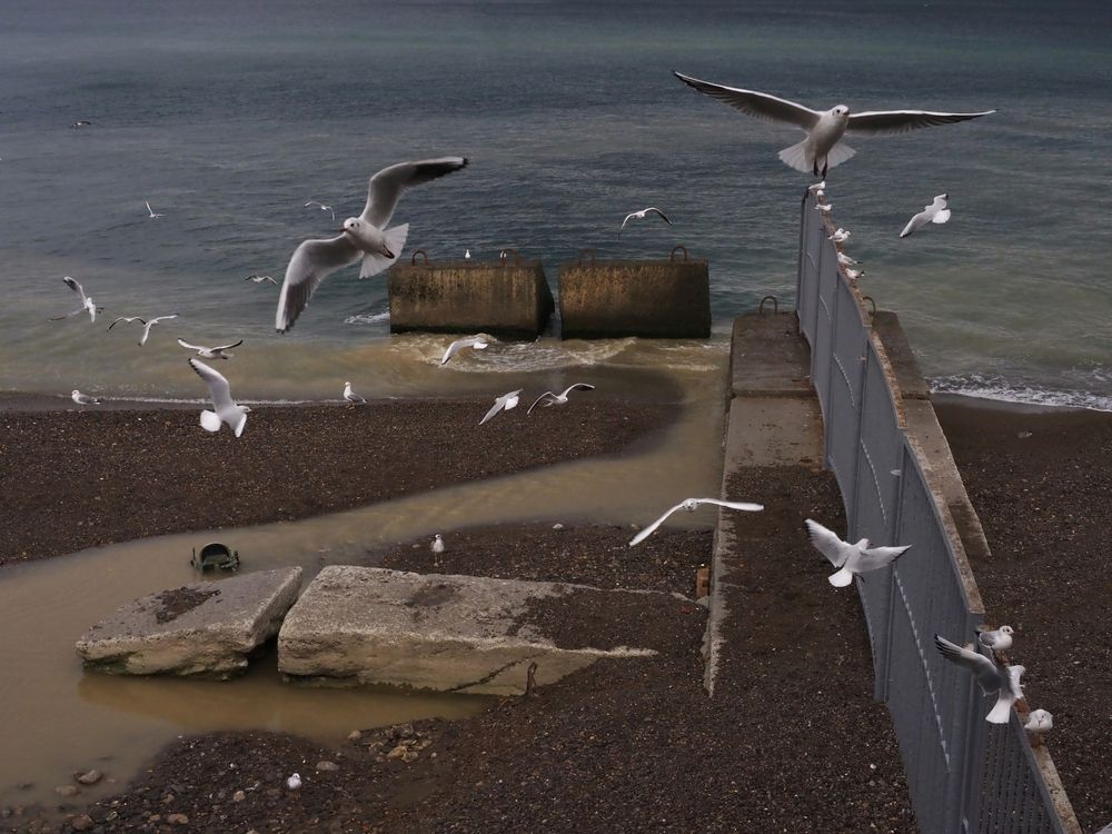 Photograph by Любовь