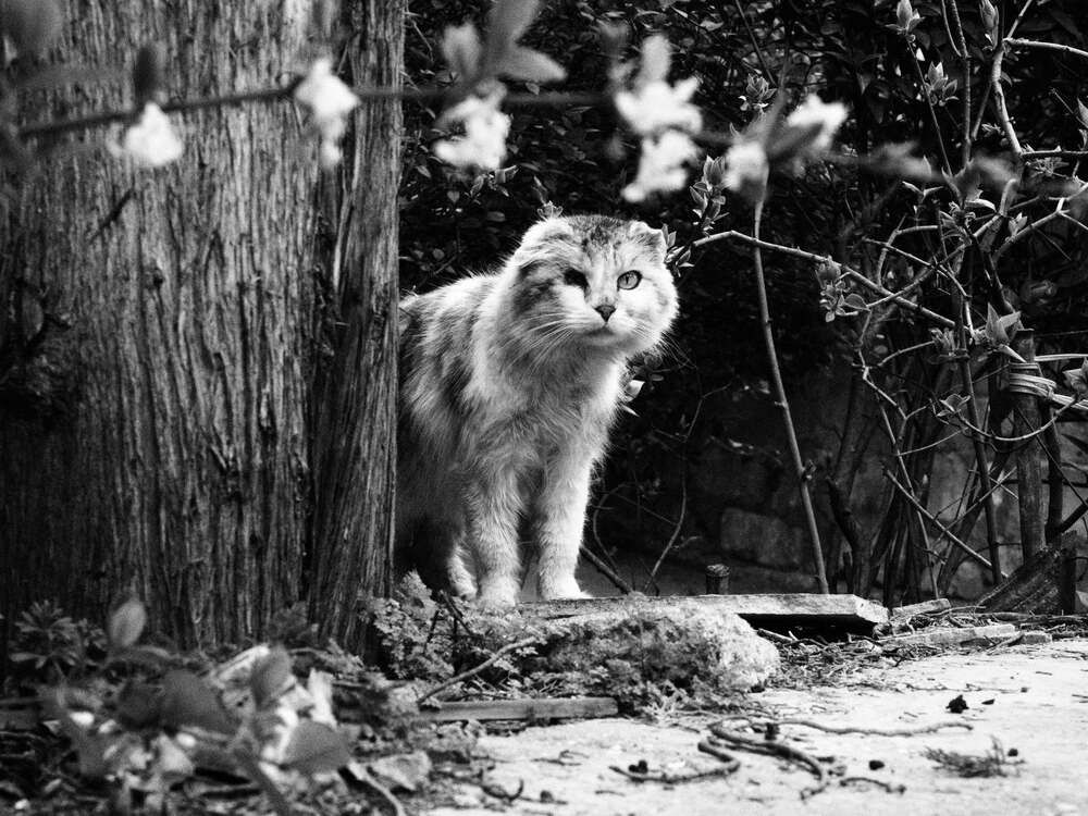 Photograph by Любовь
