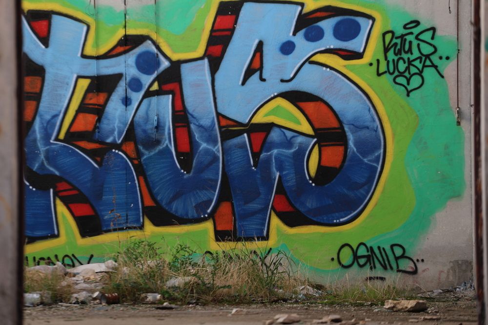 Photograph by Zlatko Ibrahimović