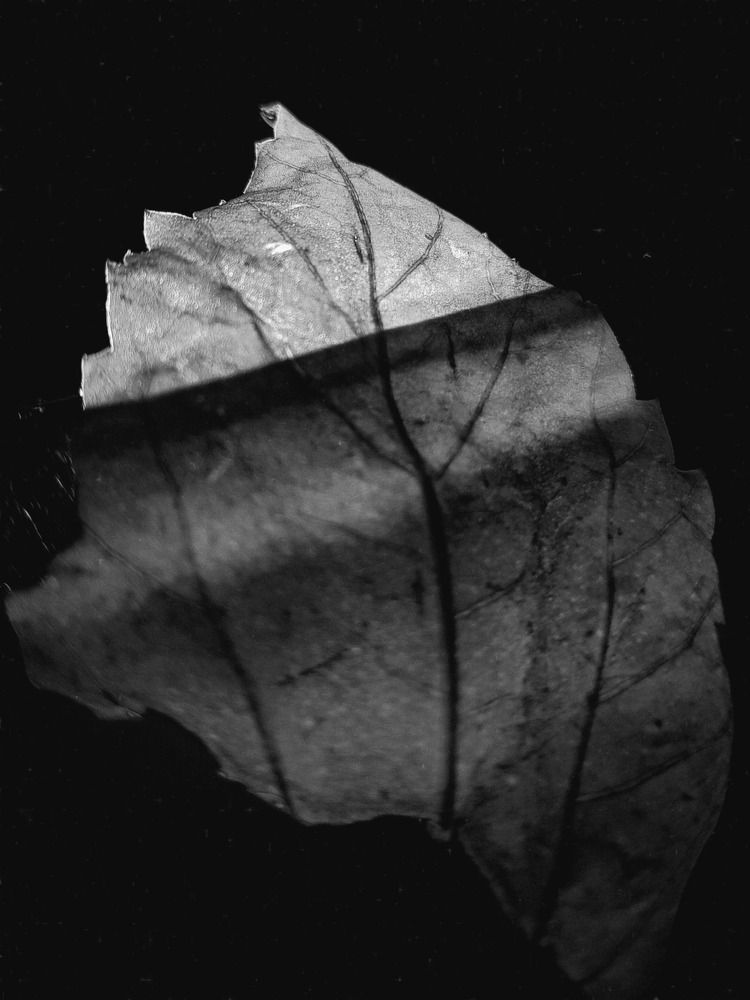 Conceptual Photography.