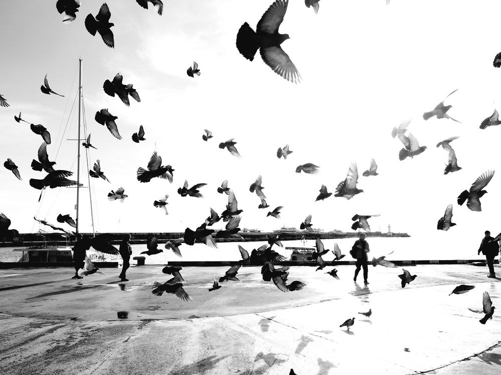 Photograph by Любовь