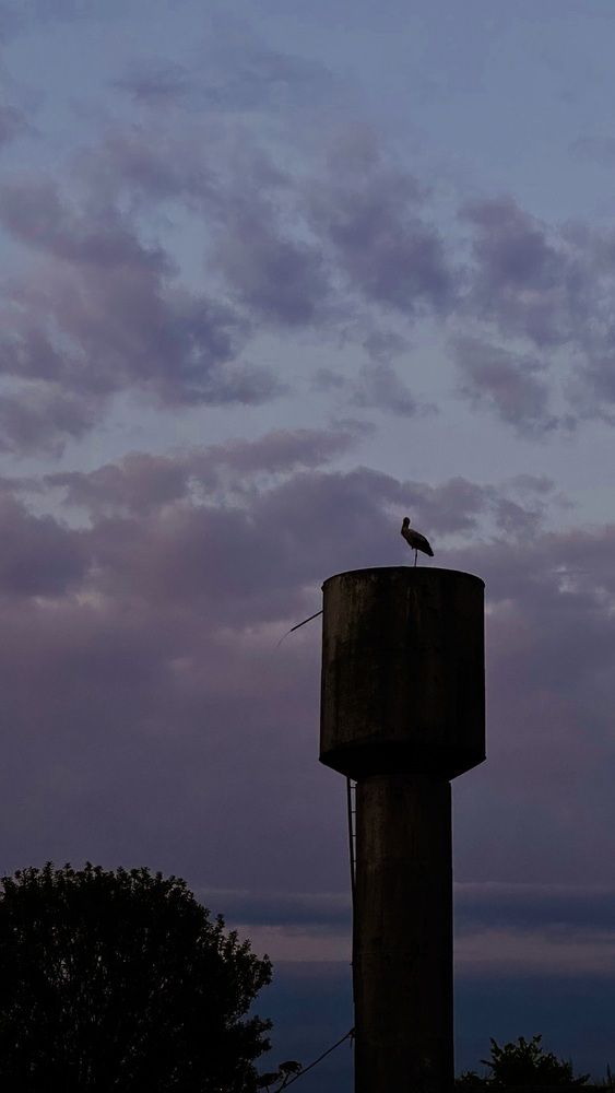 Photograph by Светлана Родионова