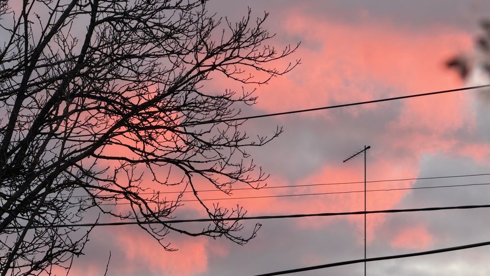 Photograph by Светлана Родионова