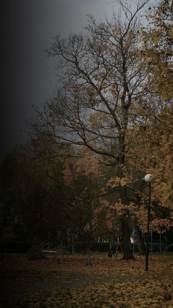 Фотокарточка