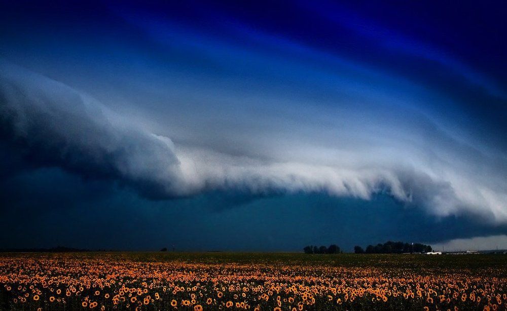 "Перед грозой"