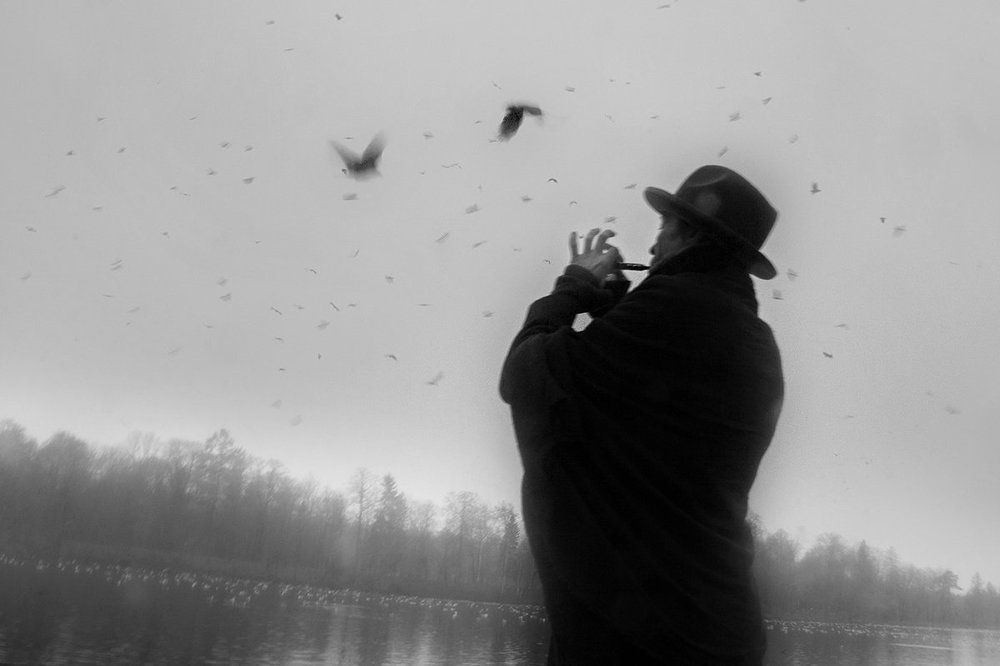 Повелитель птиц