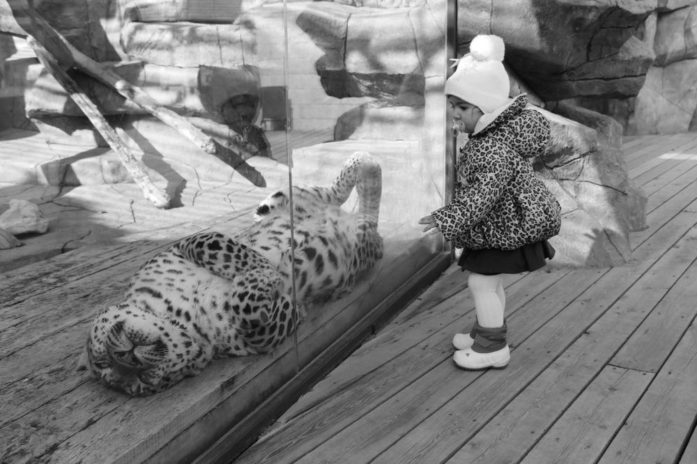 Photograph by Арутюнян Ануш