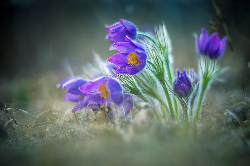 Photograph by Alexandr Melnik