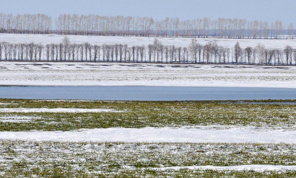 Поле весной