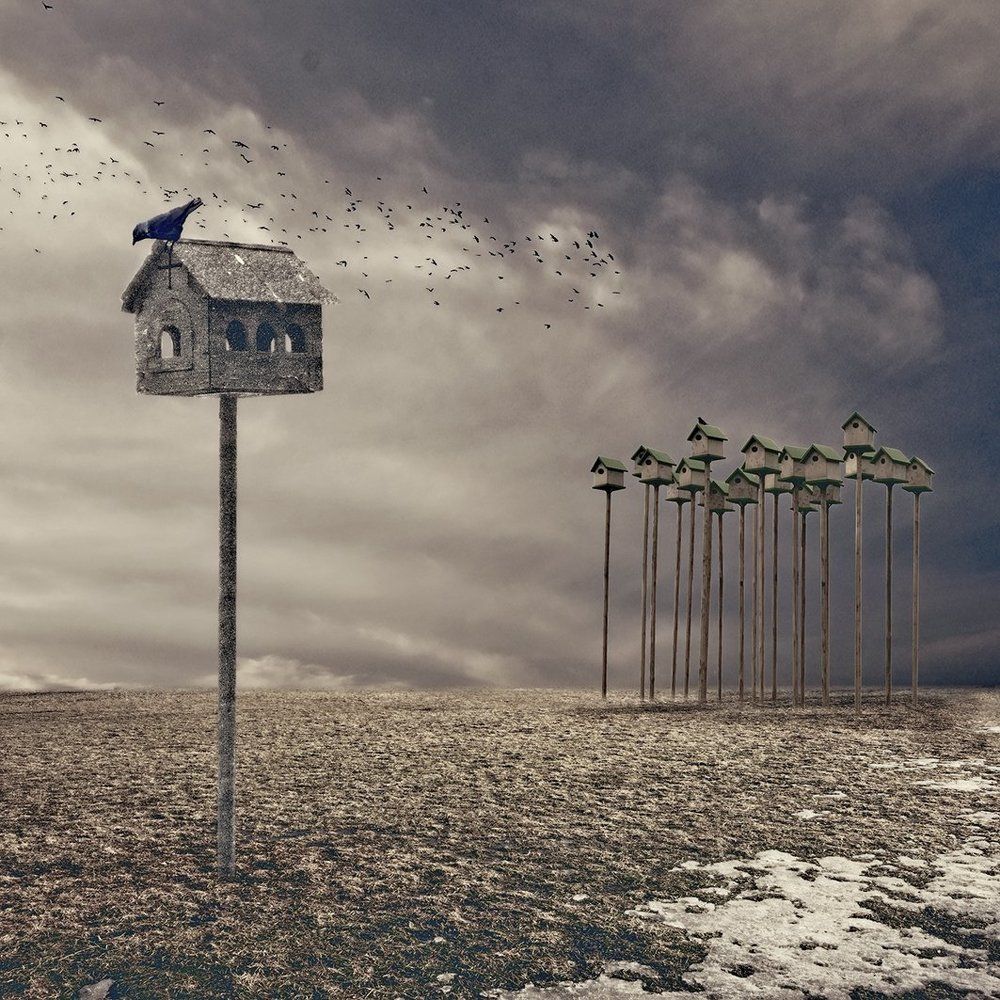 Коттеджный поселок или вилла?