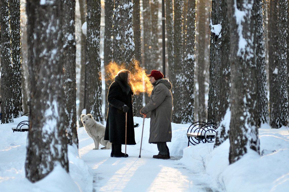 "Золотые слова говоришь, Семёновна..."