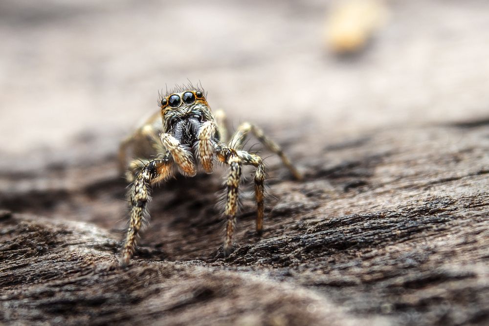 Photograph by Руслан Лазарев