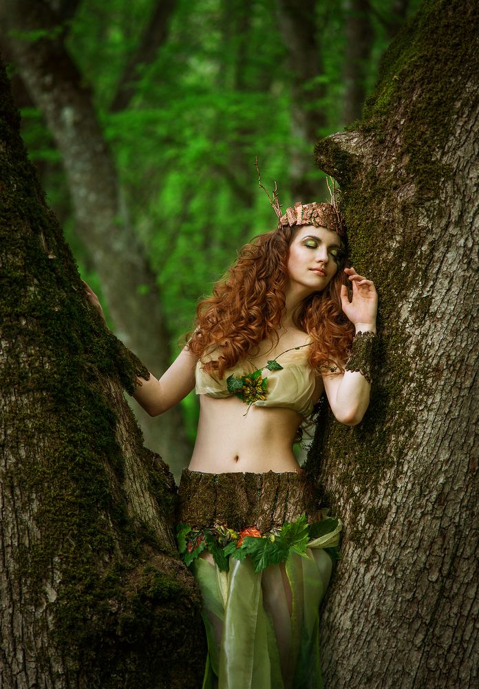 dryad