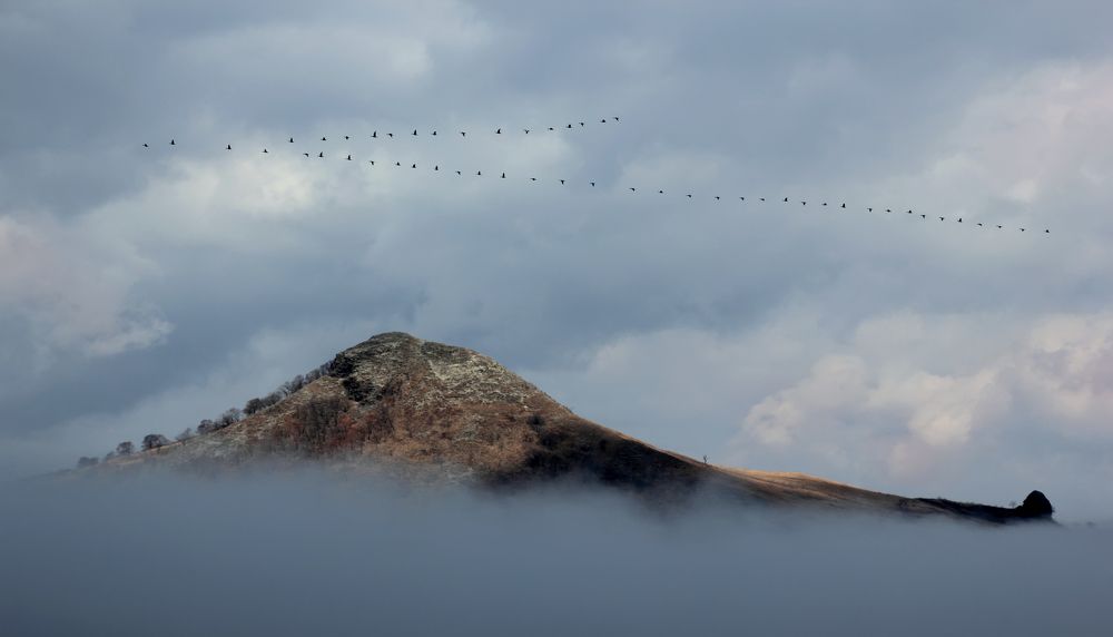 Возвращение.
