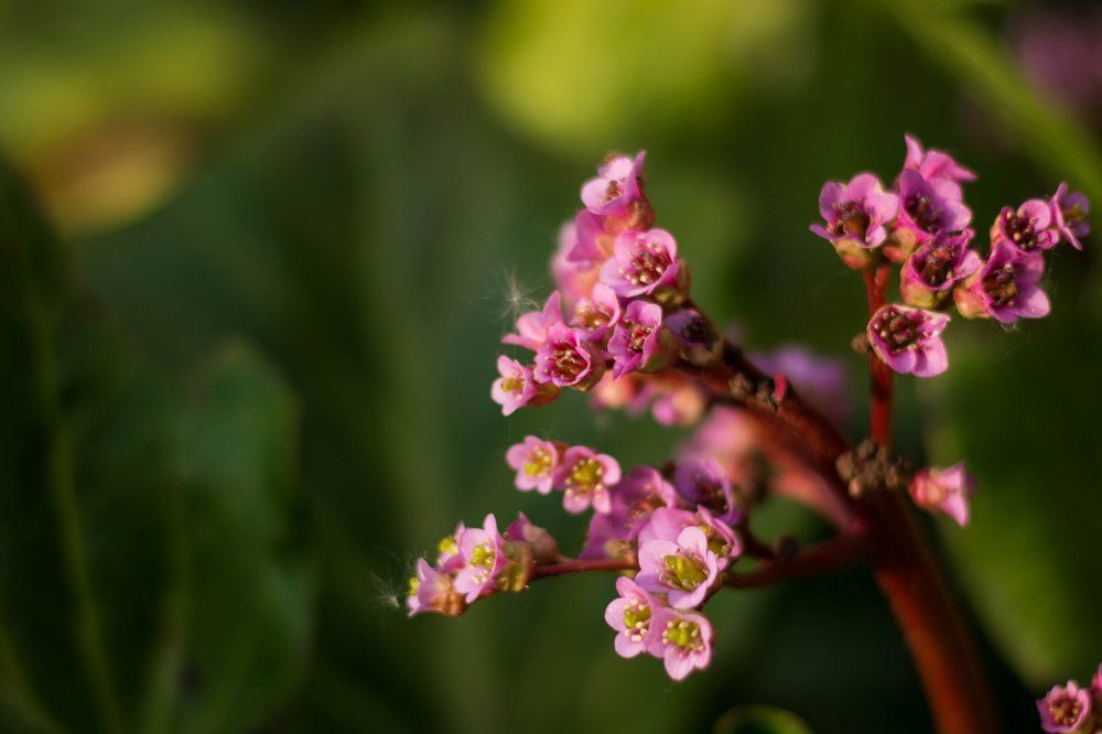 Photograph by Евгения