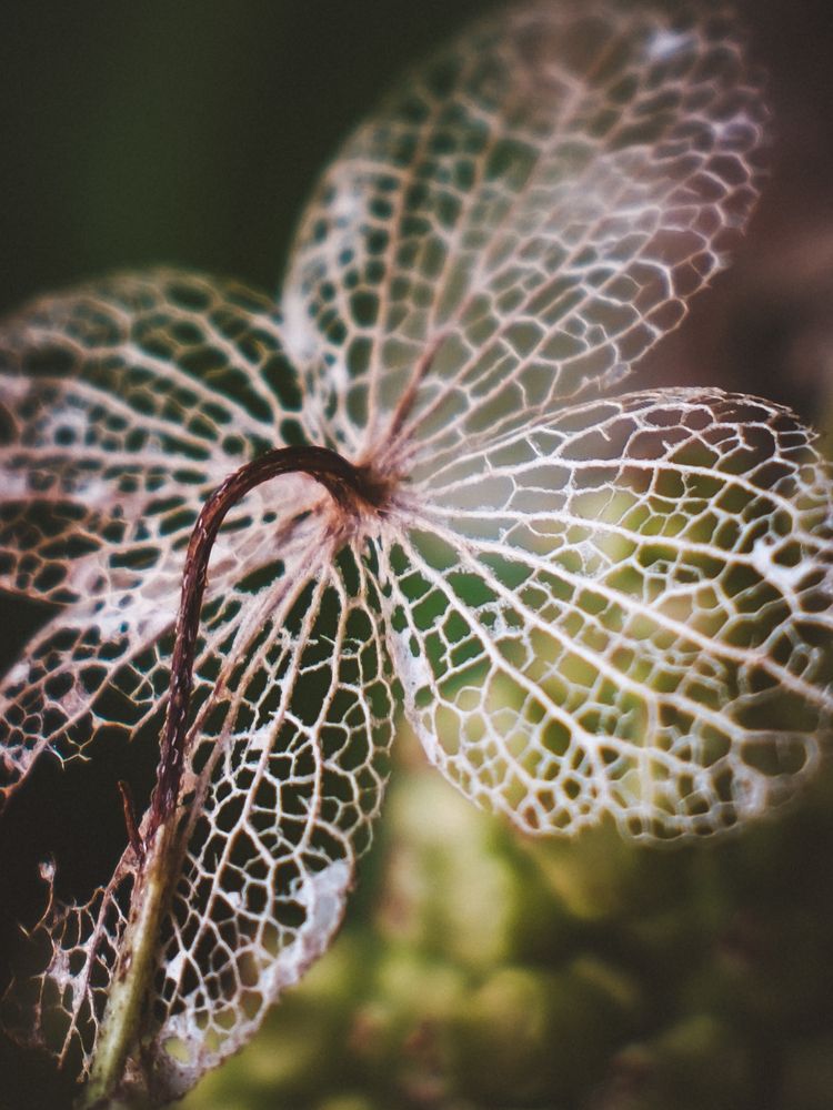 Photograph by Наталья Алфёрова