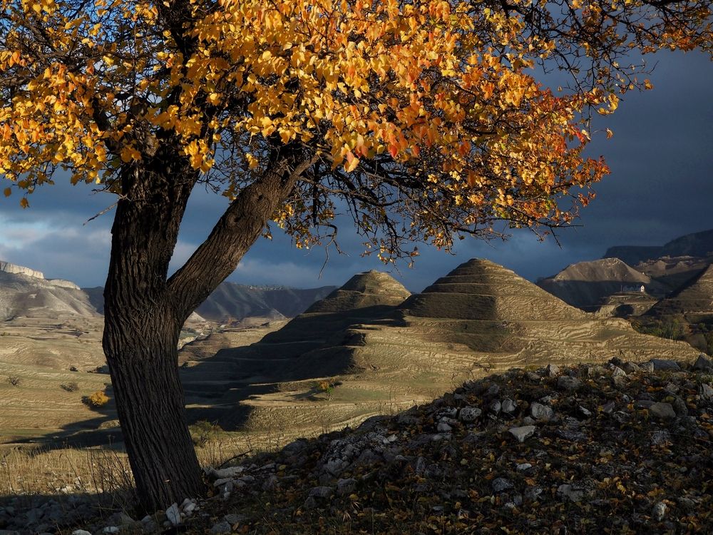 Фотография автора Яковлев Евгений