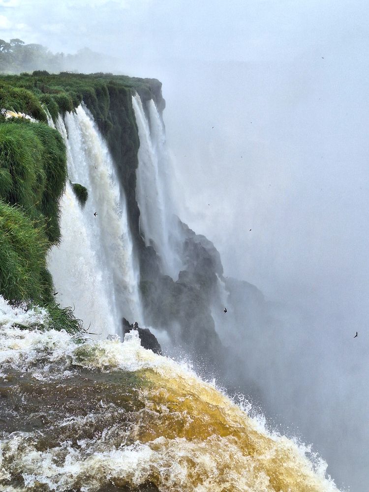 The Roar of the Abyss