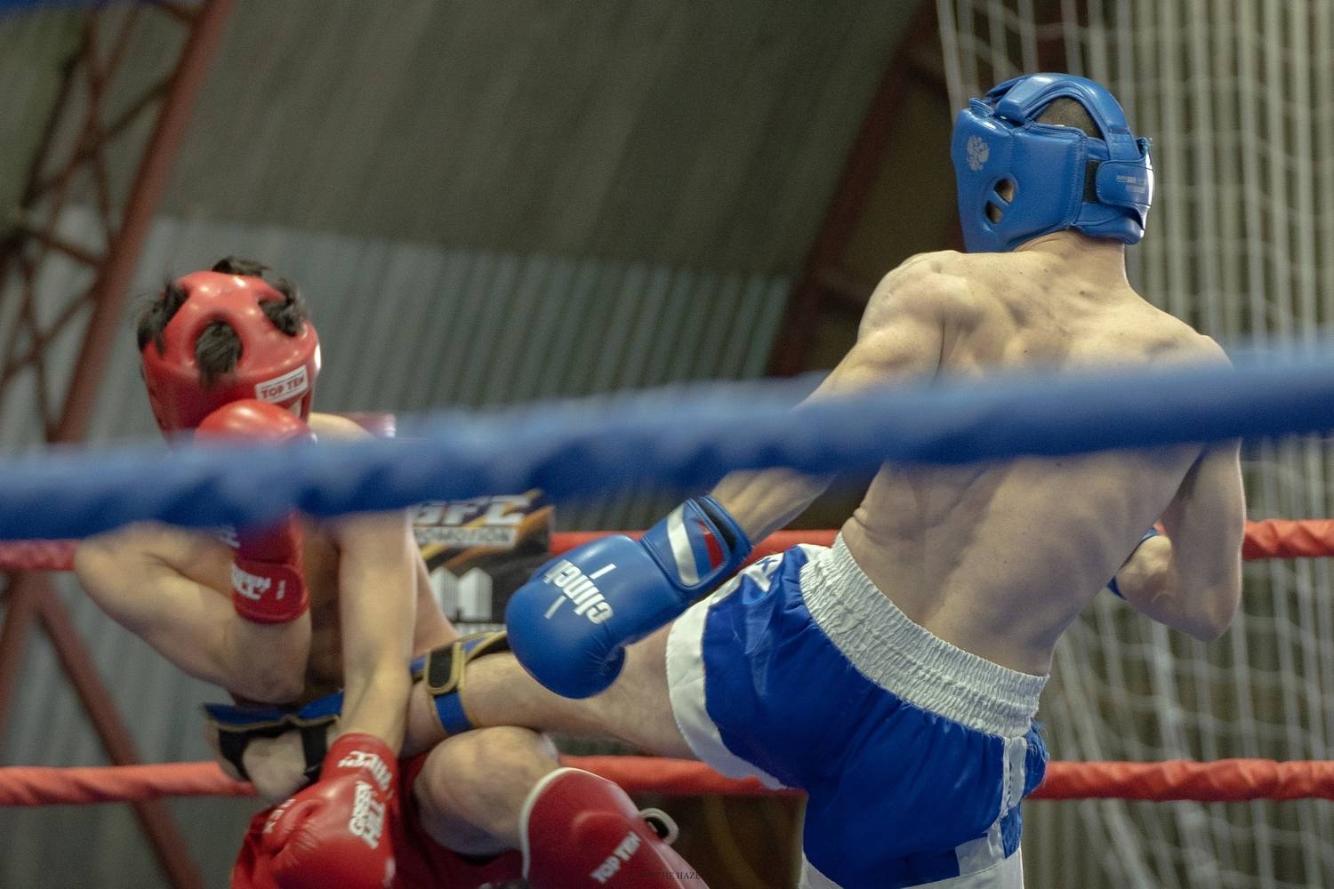 Фотография #12850181