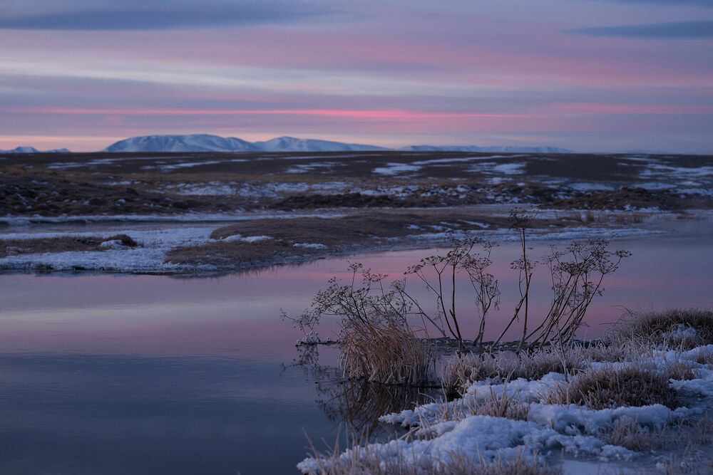 Photograph by Ирина Секачева