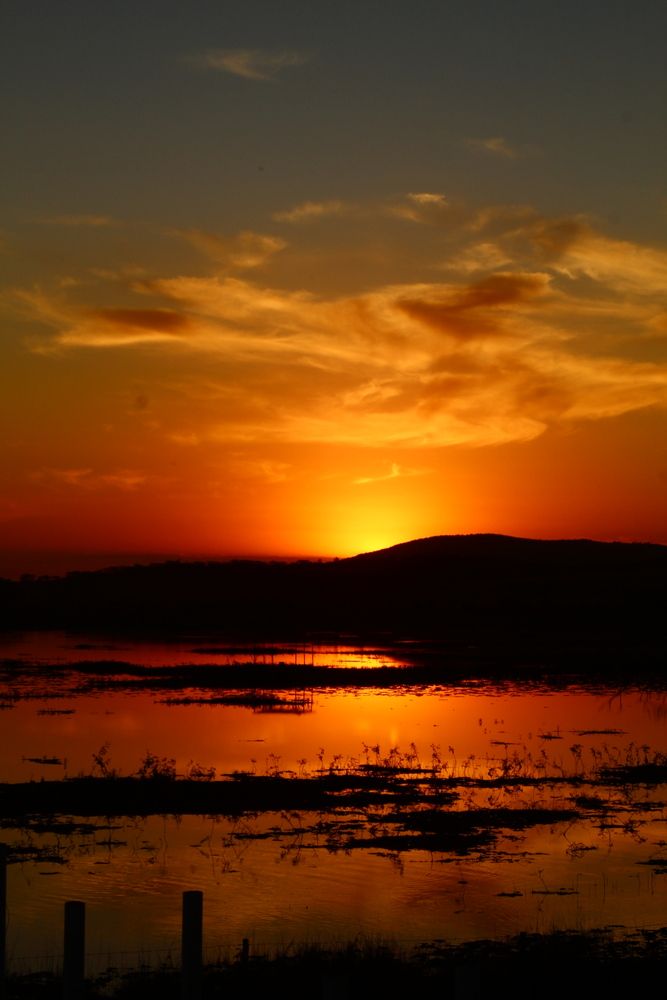 Photograph by João Pedro Bessa Faria