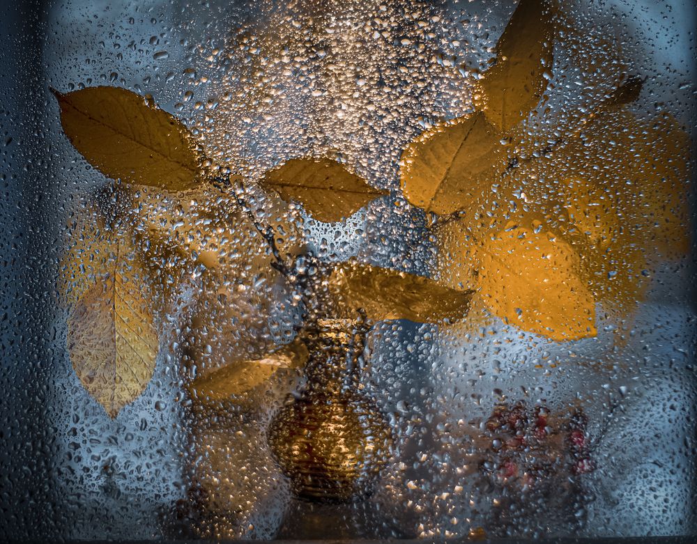 Photograph by Алена Полетаева