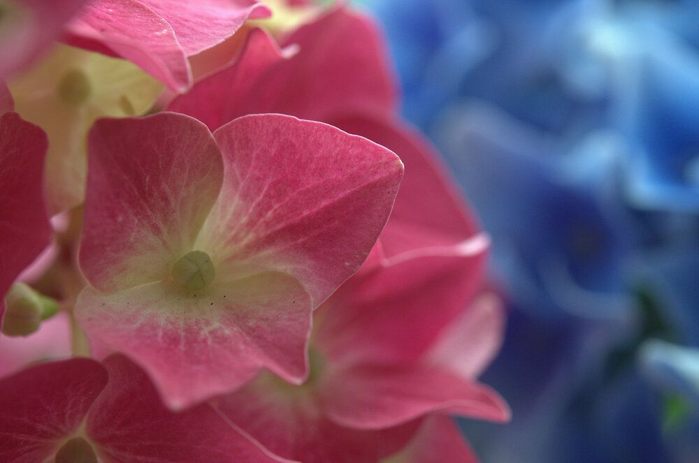 Photograph by Emil Zivanov