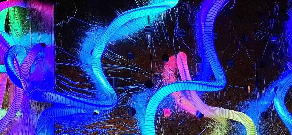 Photograph by Emil Zivanov