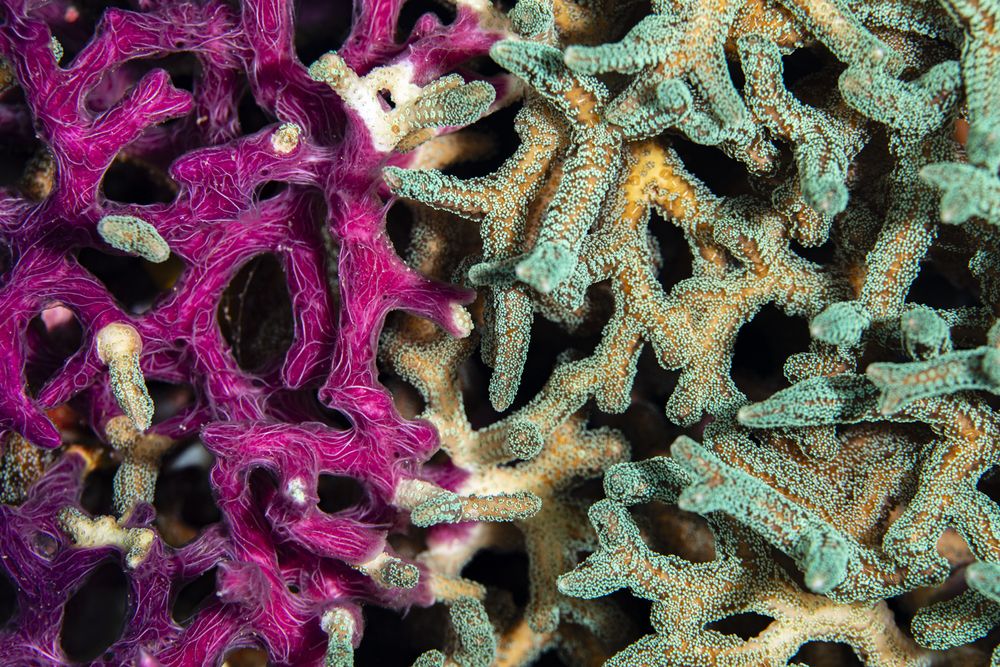 Фотография автора Fabi Fregonesi