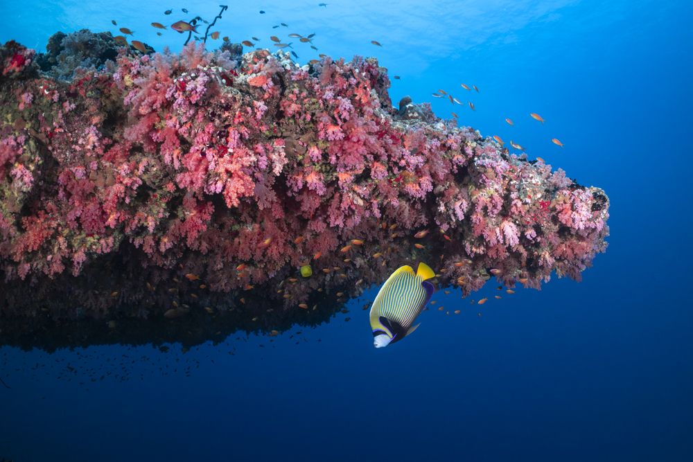 Photograph by Fabi Fregonesi