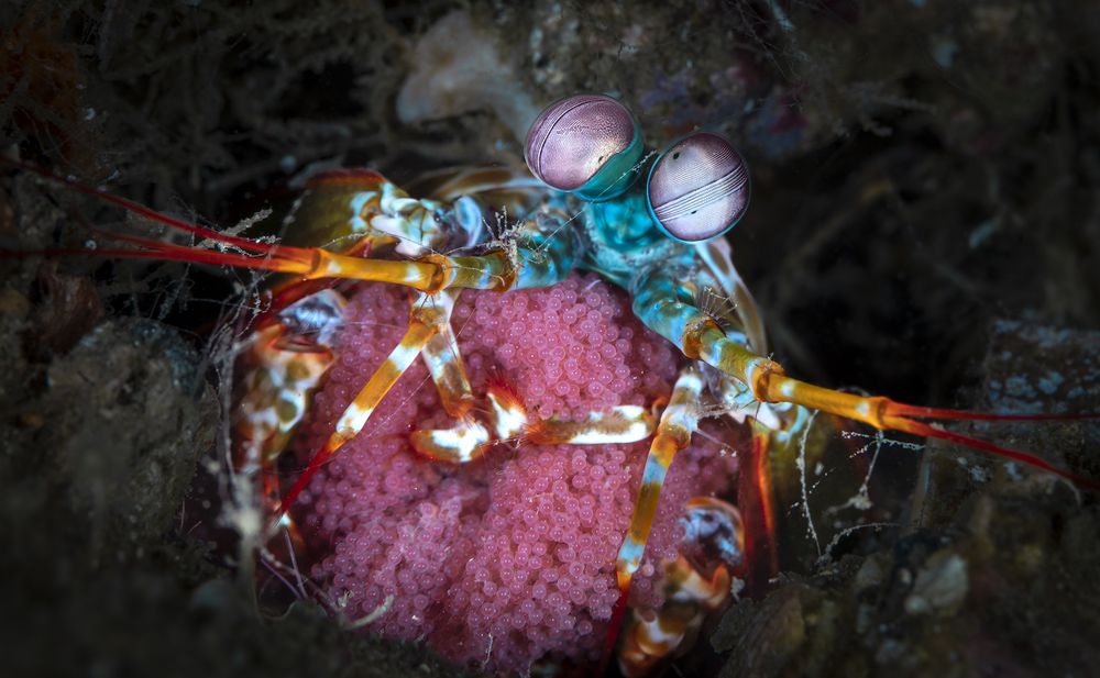 Photograph by Fabi Fregonesi