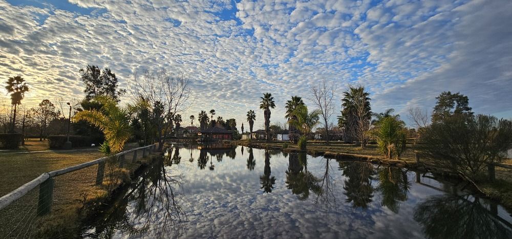 Photograph by Analía Pérez