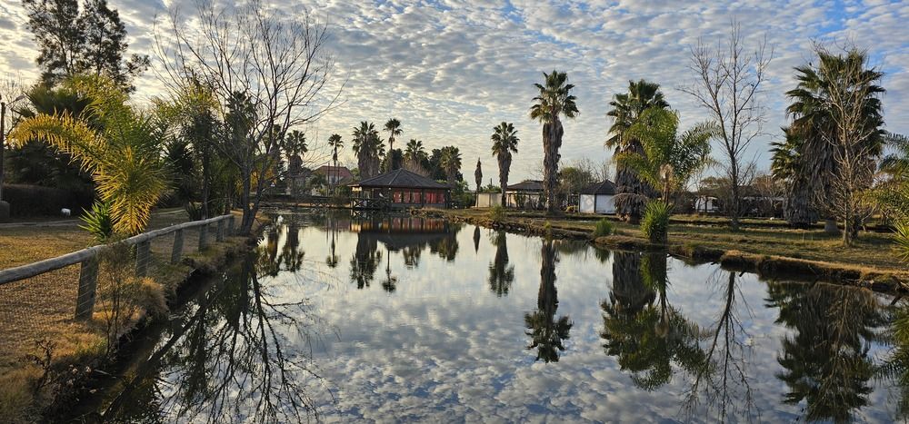 Photograph by Analía Pérez