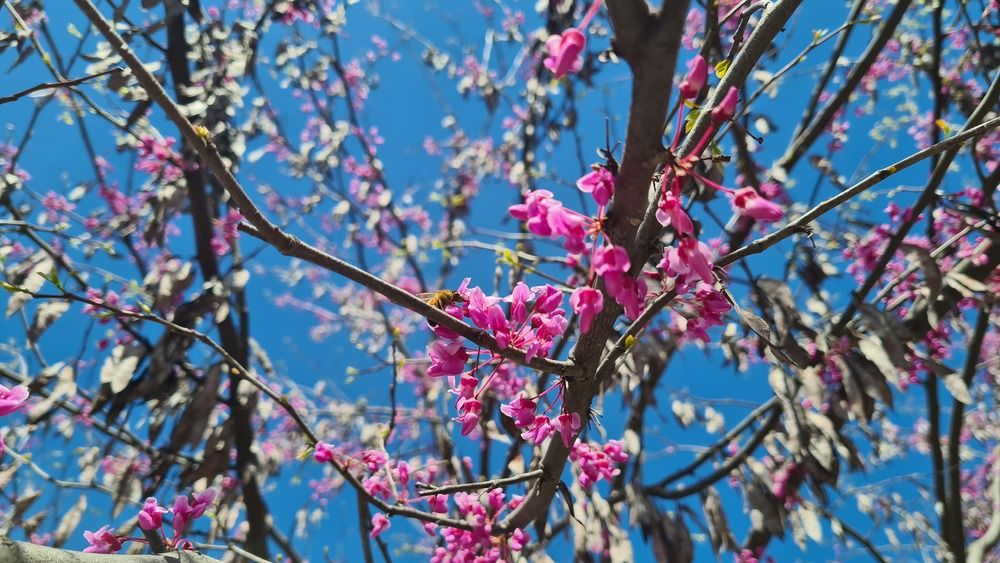 Photograph by Анастасия Маклакова