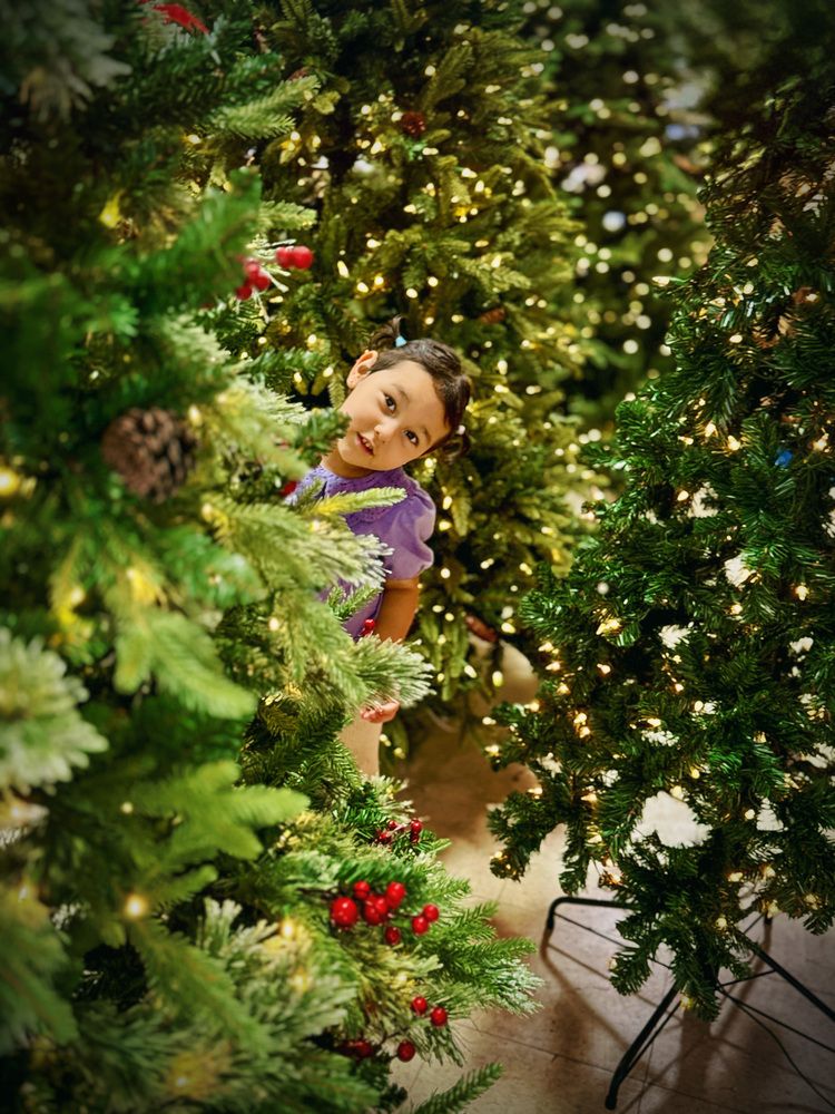 Photograph by Meilleurs Moments