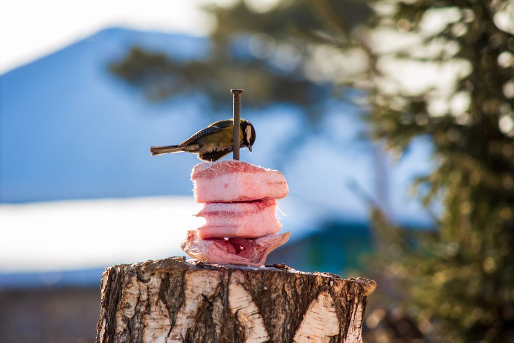 Photograph by Angelina