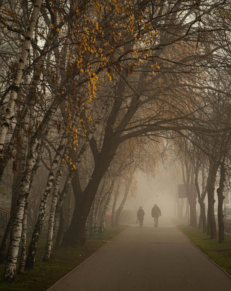 Photograph by Сергей Басов