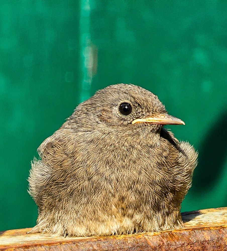 Photograph by Михаил Трусов