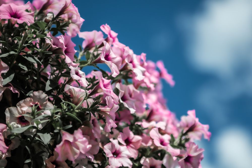 Photograph by Павел Ващилов