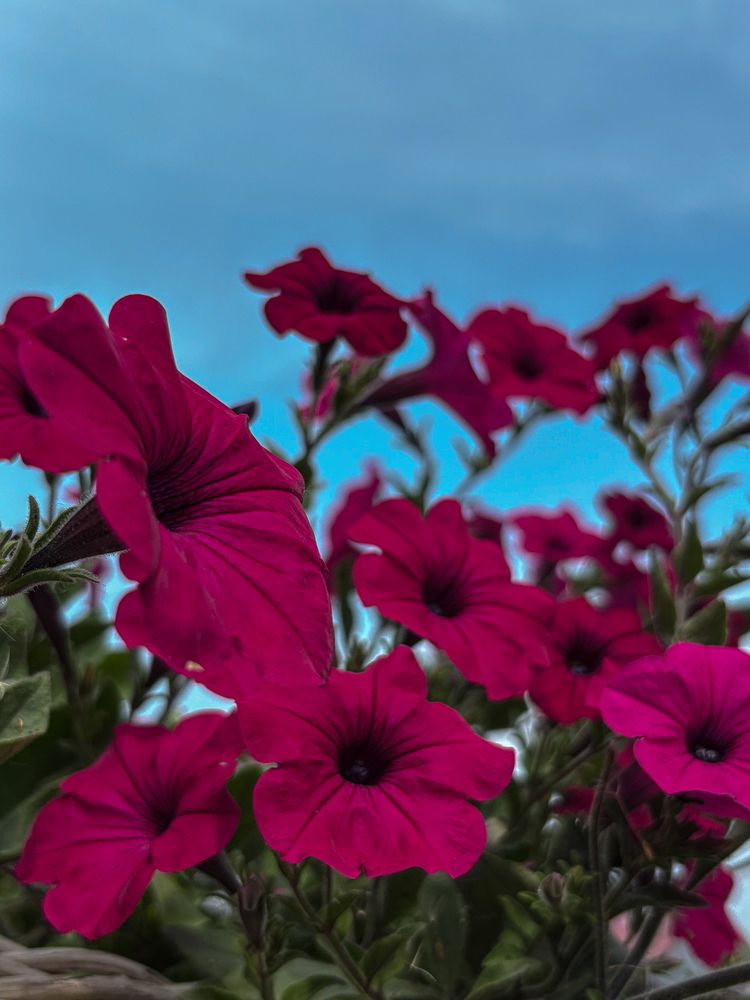 Photograph by Марина Харитонова