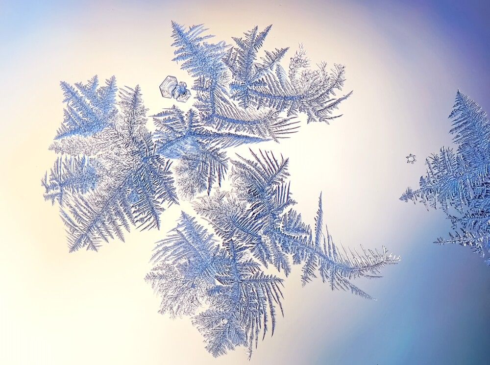 Photograph by Наталья Соколова