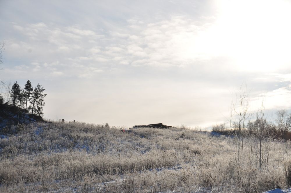 Морозное утро