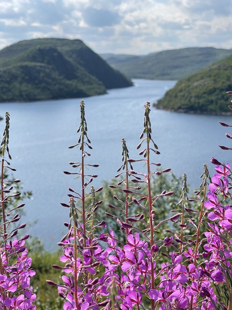 Photograph by Светлана Смук