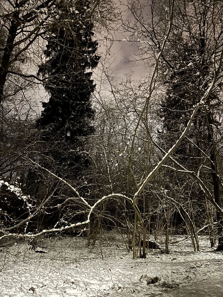 Photograph by Татьяна Двойченкова
