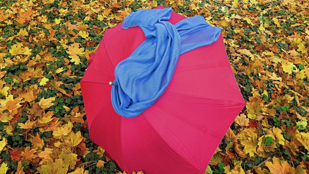 Photograph by Фартушняк Сергей